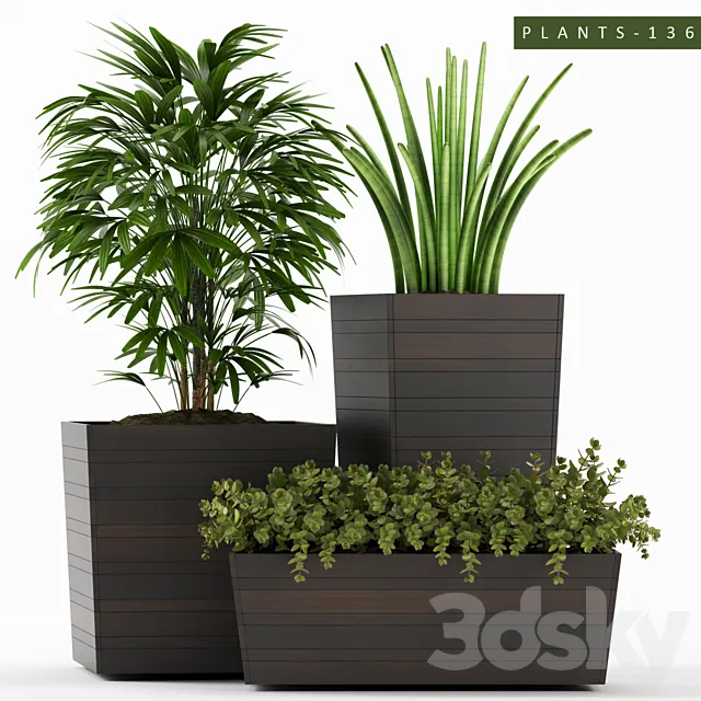 PLANTS 136 3D Model