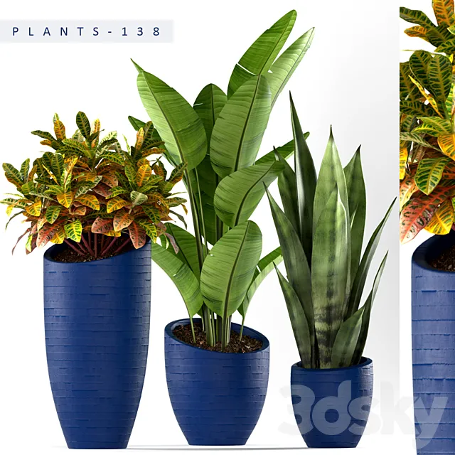 PLANTS 138 3D Model
