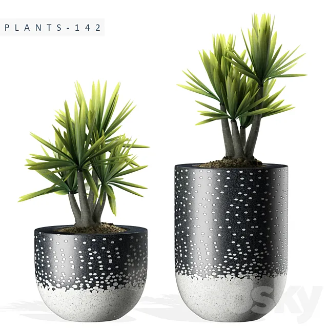 PLANTS 142 3D Model