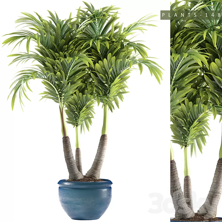 PLANTS 148 3D Model