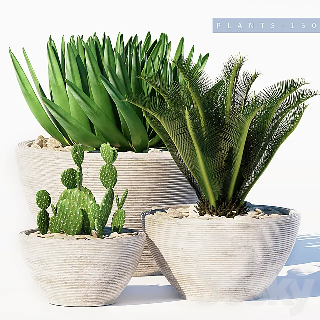 PLANTS 150 Free Download
