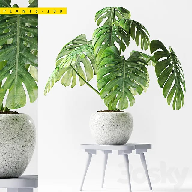 PLANTS 190 3DModel