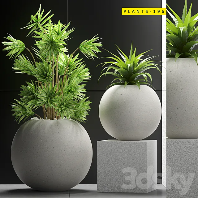 PLANTS 196 3D Model