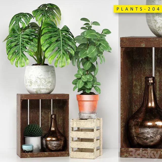PLANTS 204 3D Model