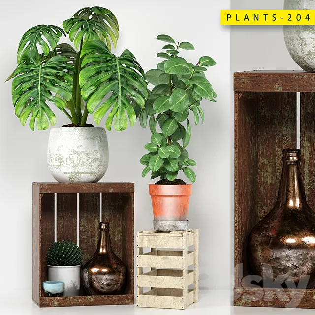 PLANTS 204 Free Download