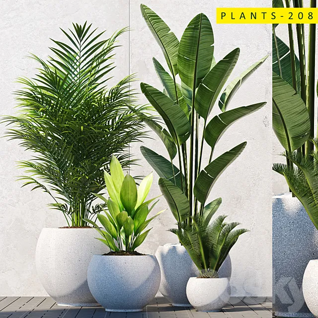 plants 208 3D Model