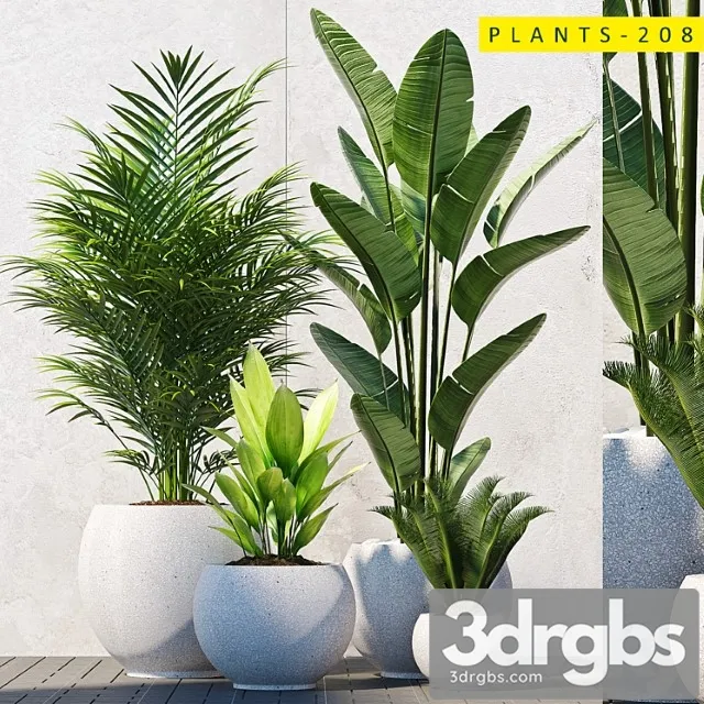 Plants 208