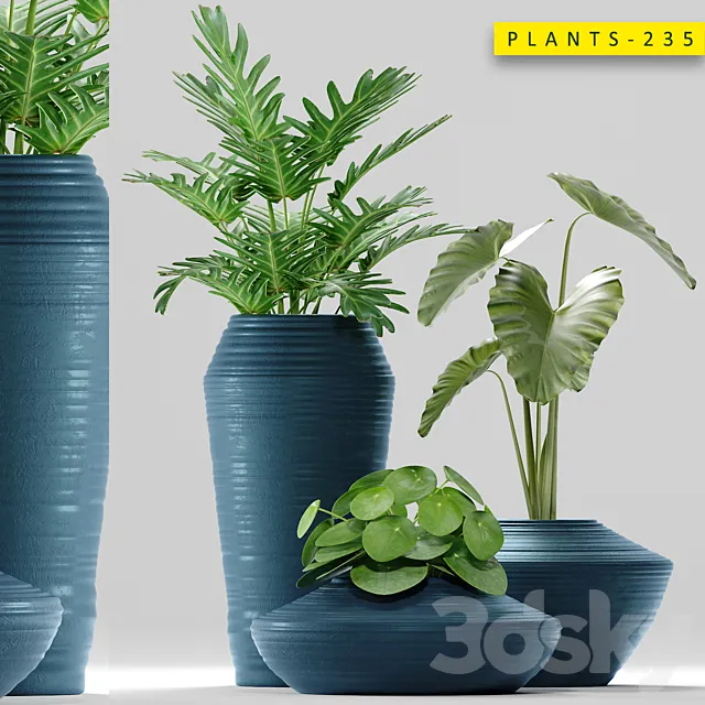 Plants 235 3D Model