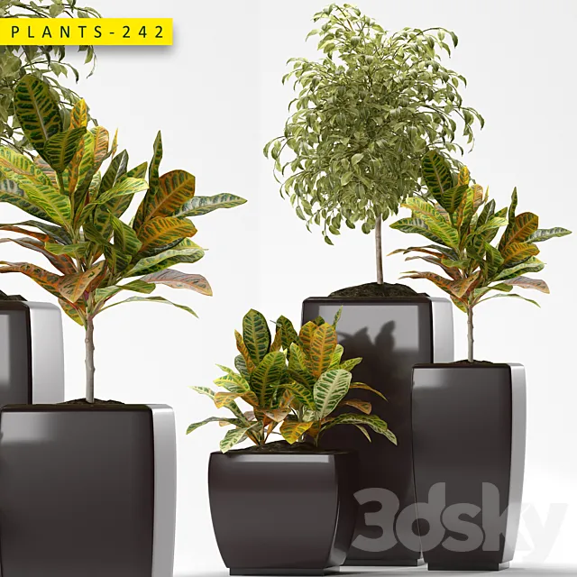 Plants 242 3D Model