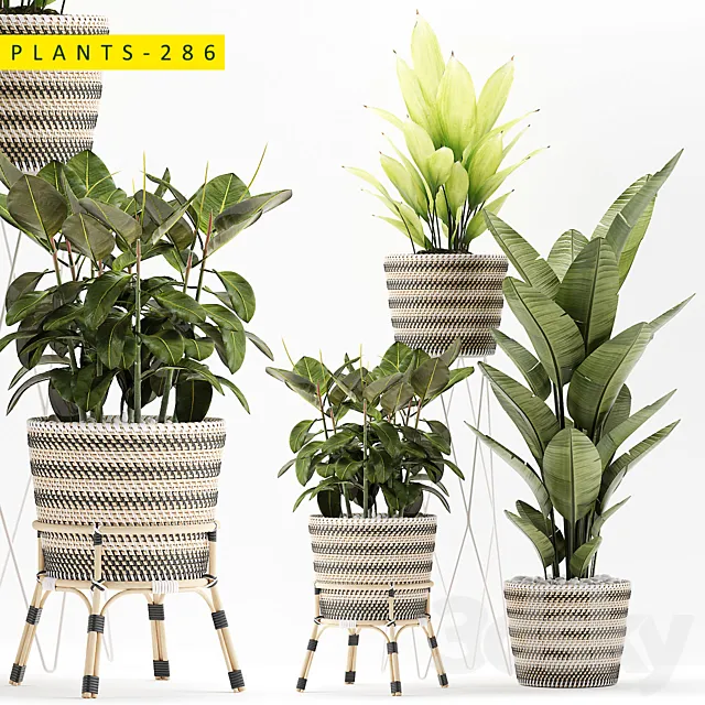 plants 286 3DModel