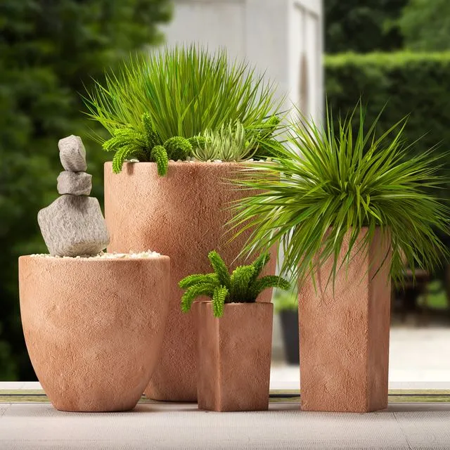 plants 3D Model
