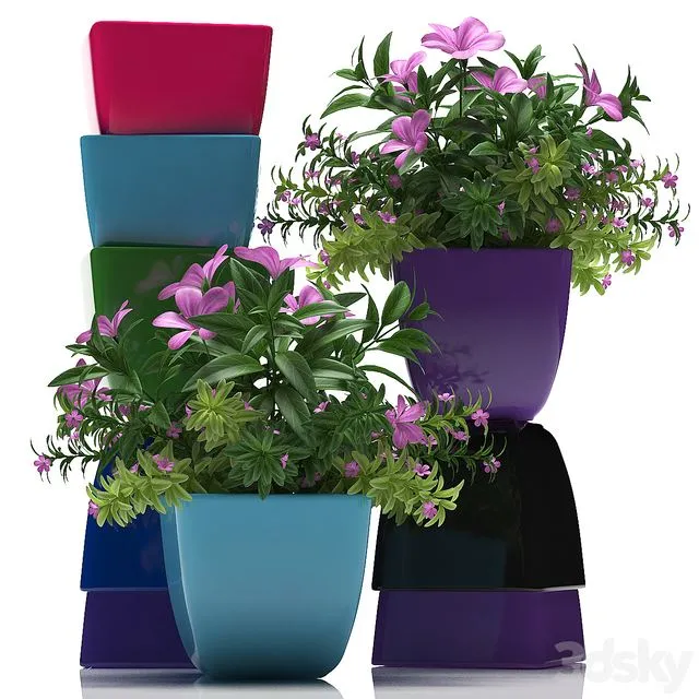 PLANTS 40 Free Download