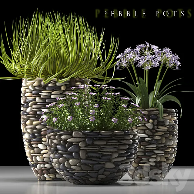 PLANTS 57 3DModel