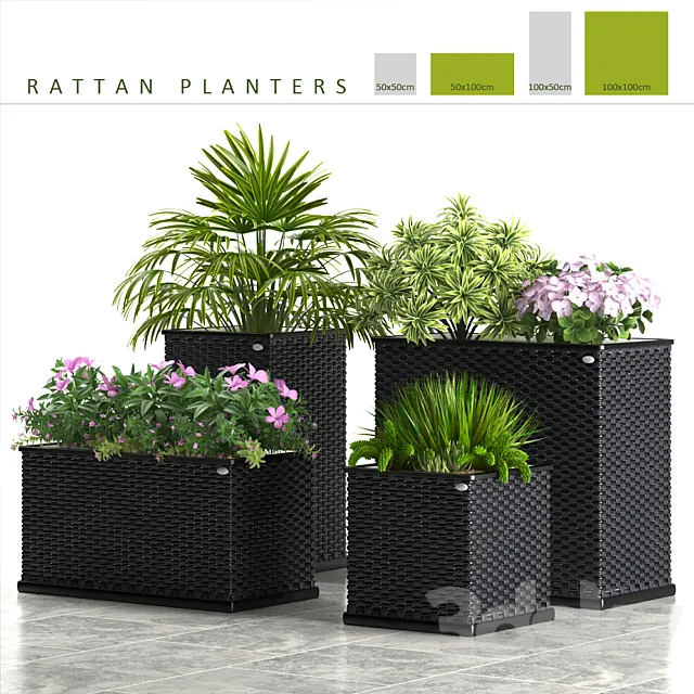 PLANTS 58_RATTAN PLANTERS 3D Model