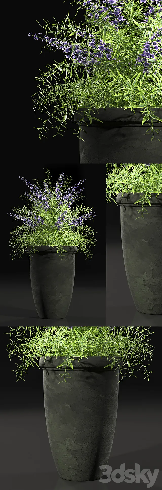 PLANTS 7 3D Model