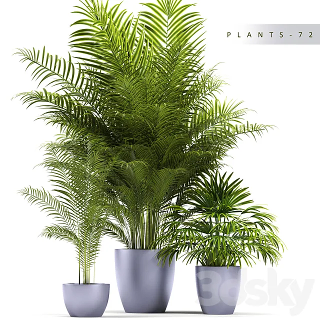 PLANTS 72 3DModel