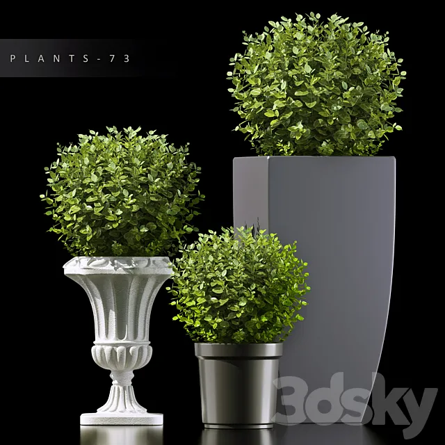 PLANTS 73 3D Model