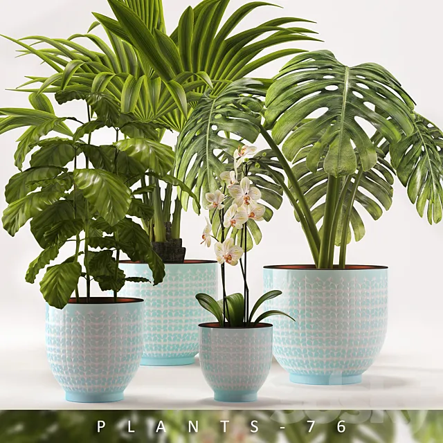 PLANTS 76 3D Model