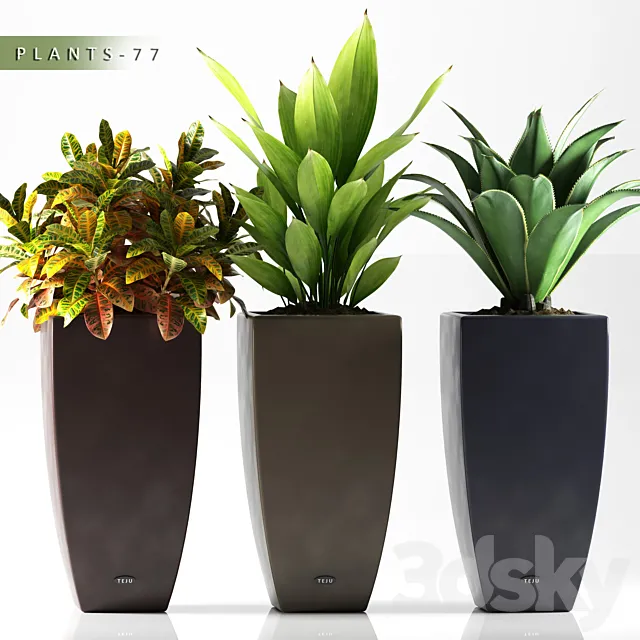 PLANTS 77 3D Model