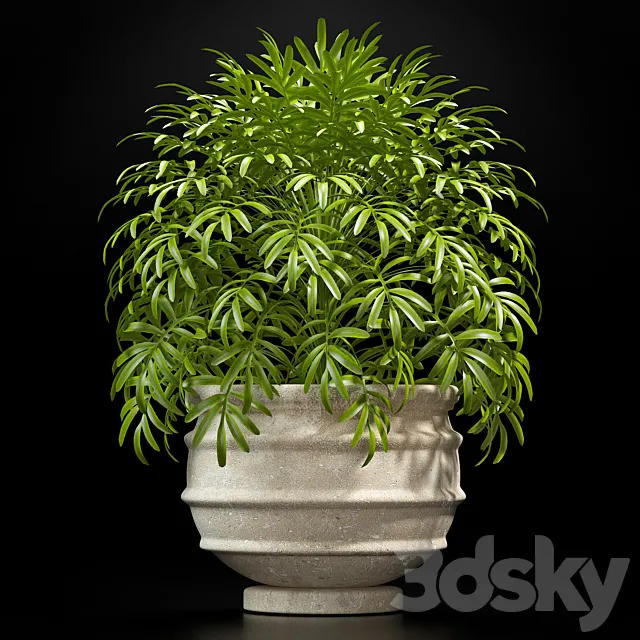 PLANTS 8 3D Model