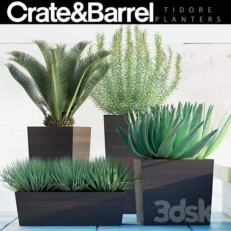 PLANTS 82