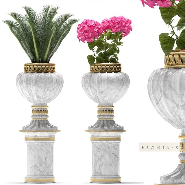 PLANTS 84 3D Model