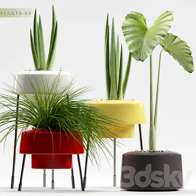 PLANTS 89 Free Download