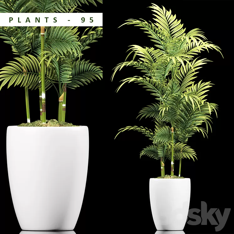 PLANTS 95 3D Model