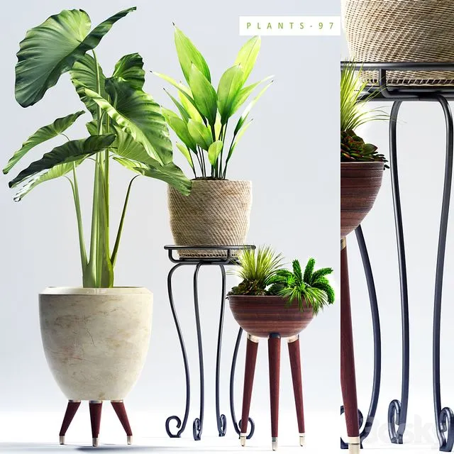 PLANTS 97 3D Model