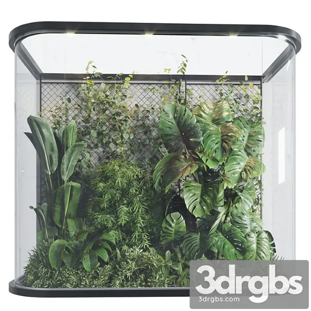 Plants Behind Galss 03 Indoor Garden 3D Model Free