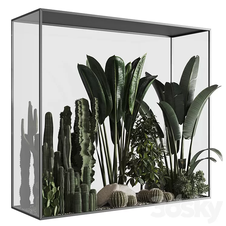 Plants behind glass 02 3D Model