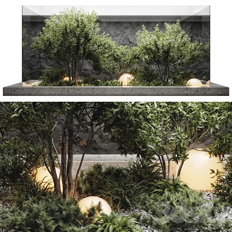 plants behind glass 3D Model Free