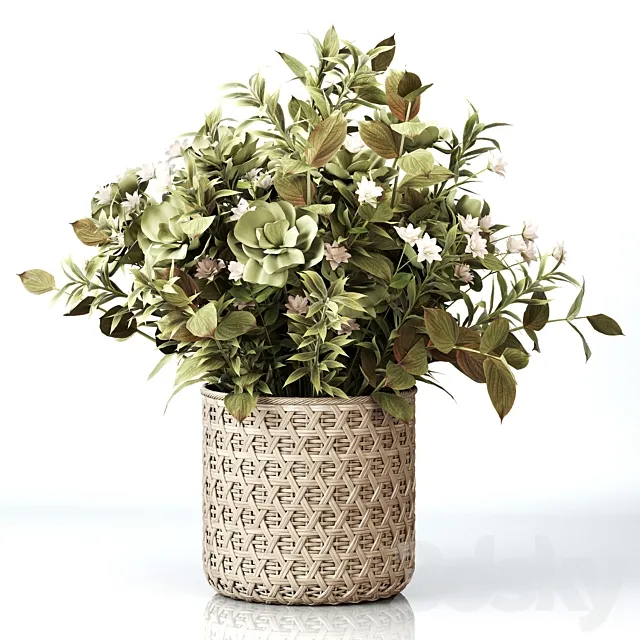 Plants Bouquet 01 3DModel