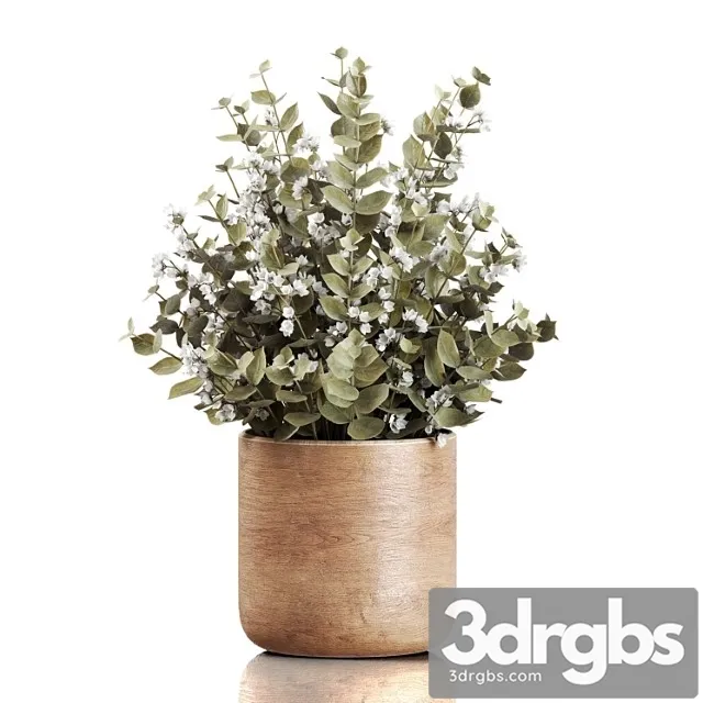 Plants Bouquet 02 3D Model Free
