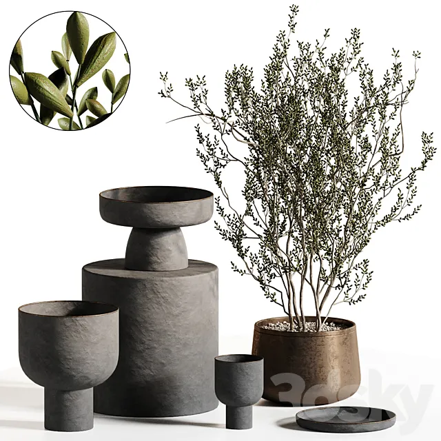 Plants Bouquet Vase 2 Free Download