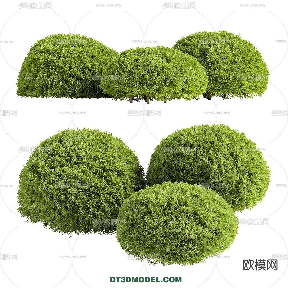 PLANTS - BUSH - CORONA - 3D MODEL - 267