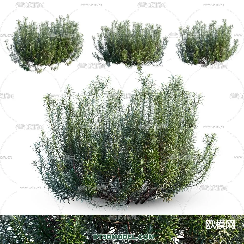 3D MODELS FREE DOWNLOAD 