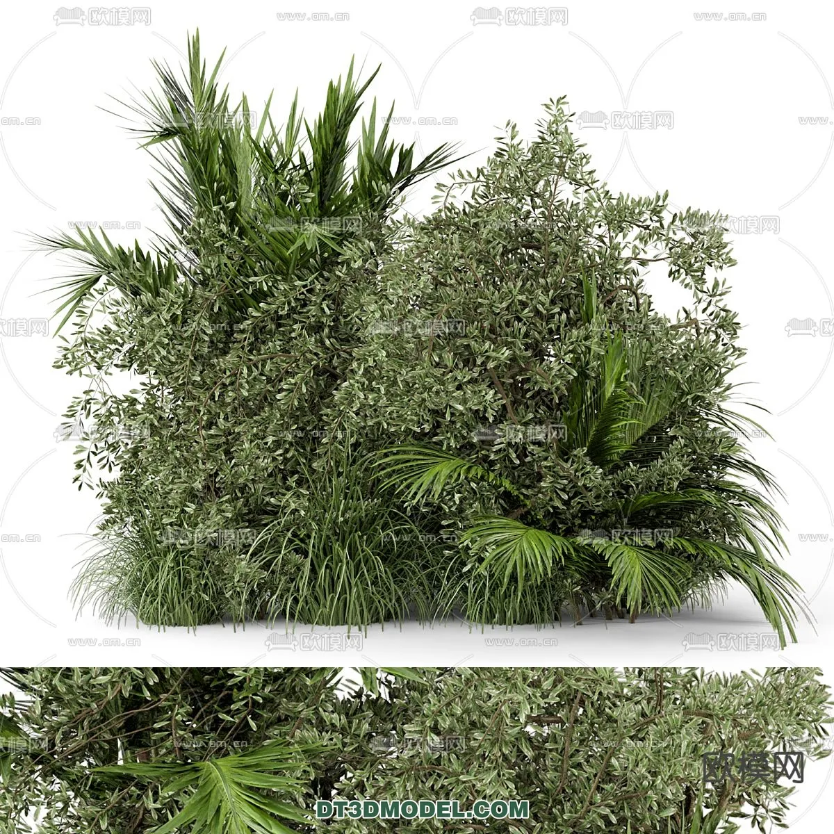 PLANTS - BUSH - CORONA - 3D MODEL - 290