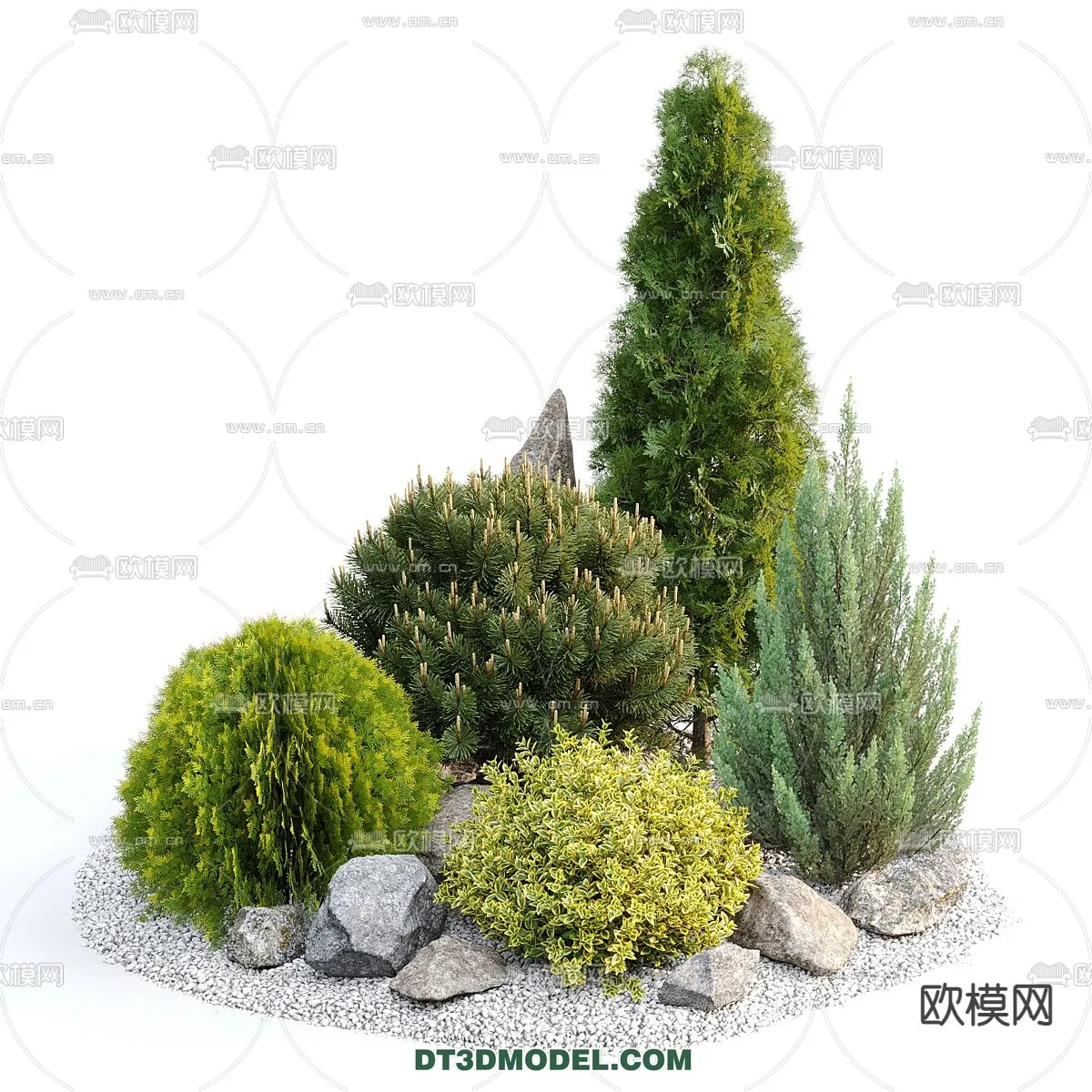 PLANTS - BUSH - CORONA - 3D MODEL - 311