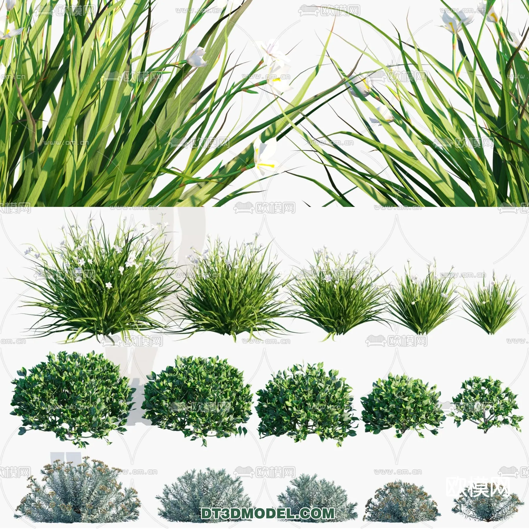 PLANTS - BUSH - CORONA - 3D MODEL - 324