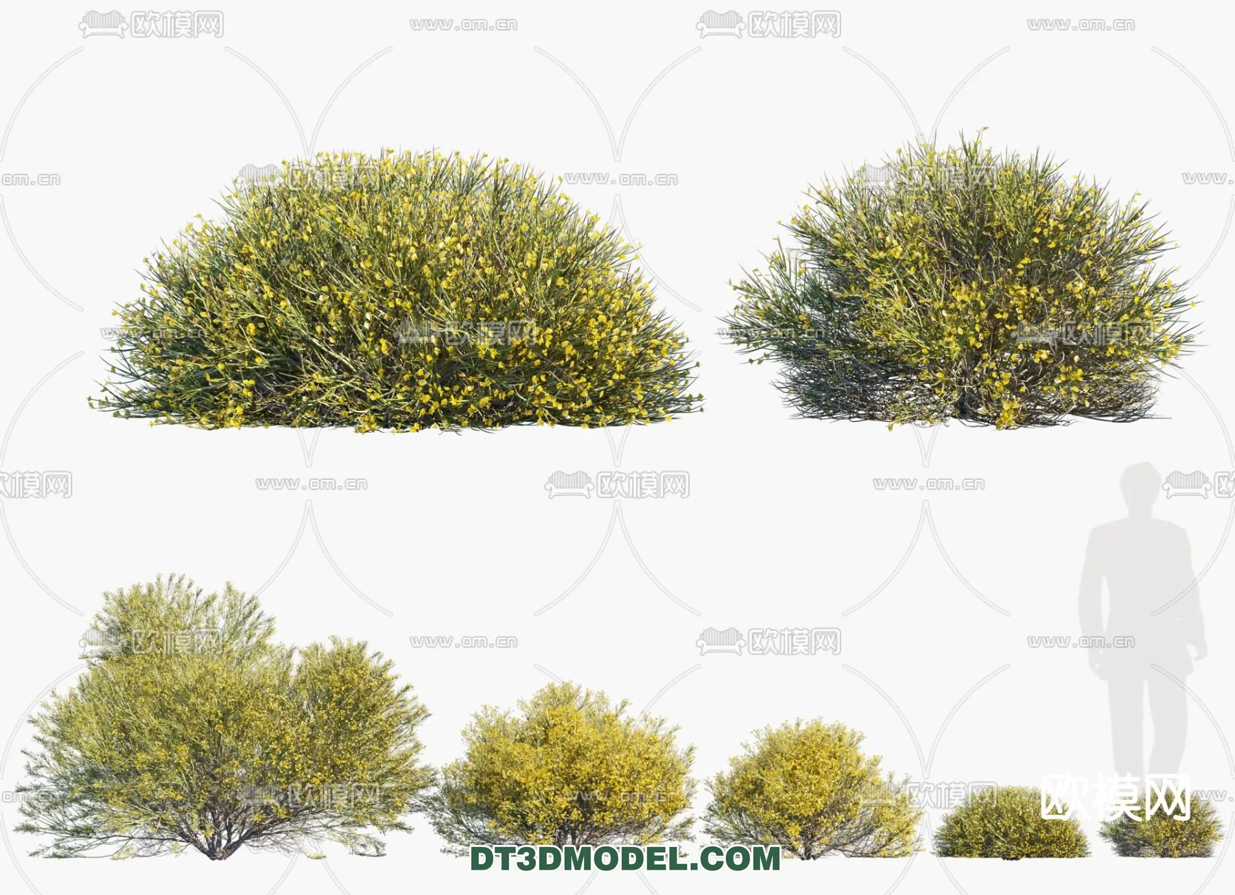 PLANTS - BUSH - CORONA - 3D MODEL - 336