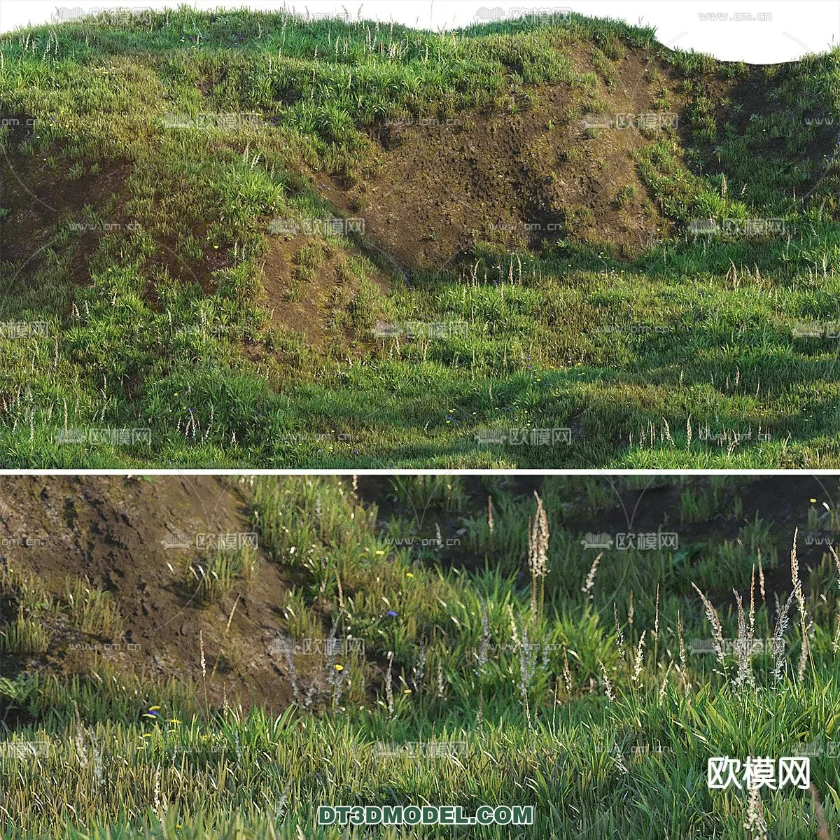 PLANTS - BUSH - CORONA - 3D MODEL - 343