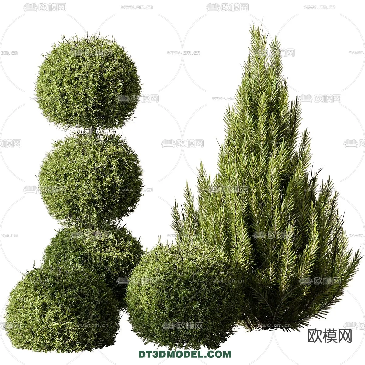 PLANTS - BUSH - CORONA - 3D MODEL - 351
