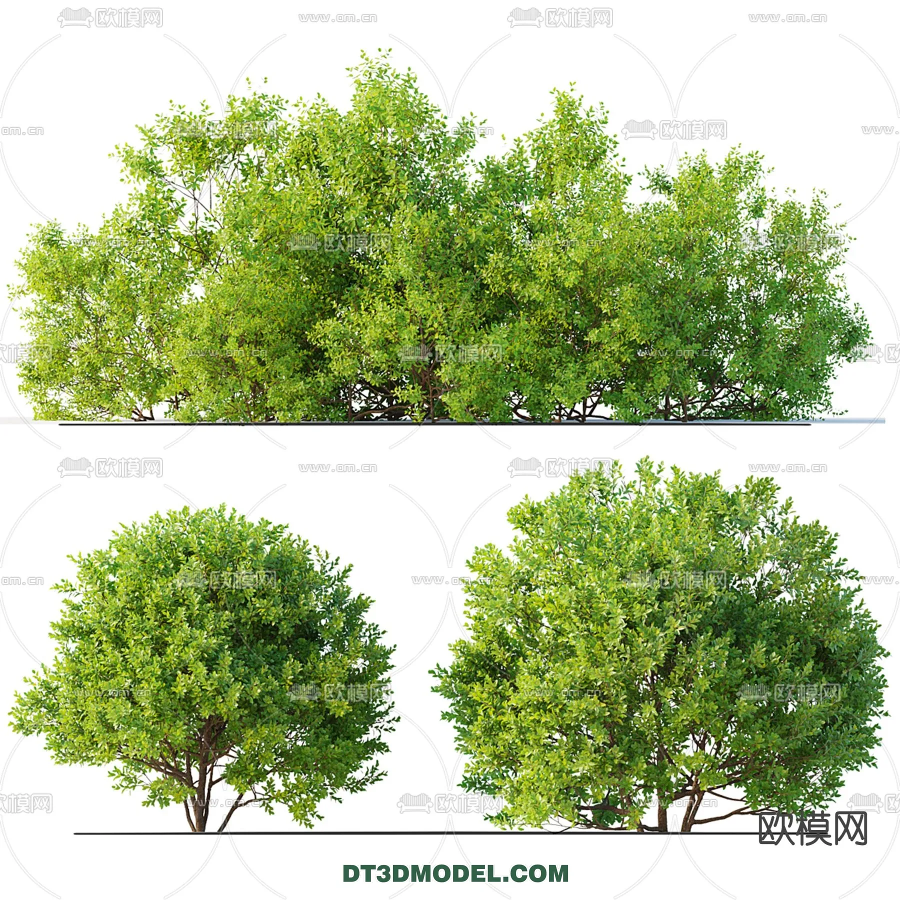 3D MODELS FREE DOWNLOAD 