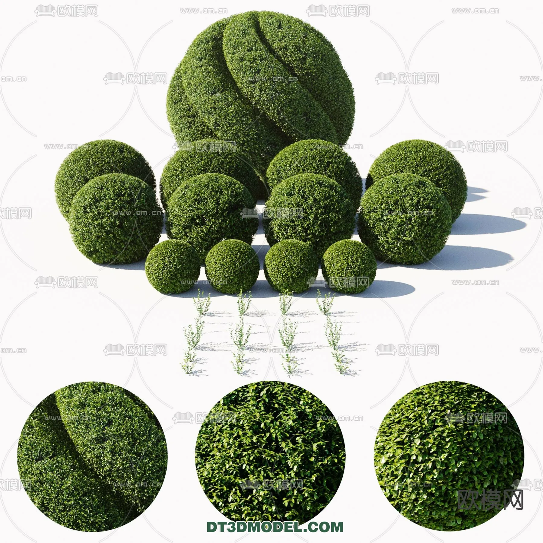 PLANTS - BUSH - CORONA - 3D MODEL - 379