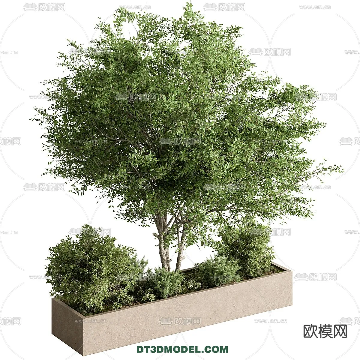 PLANTS - BUSH - CORONA - 3D MODEL - 385
