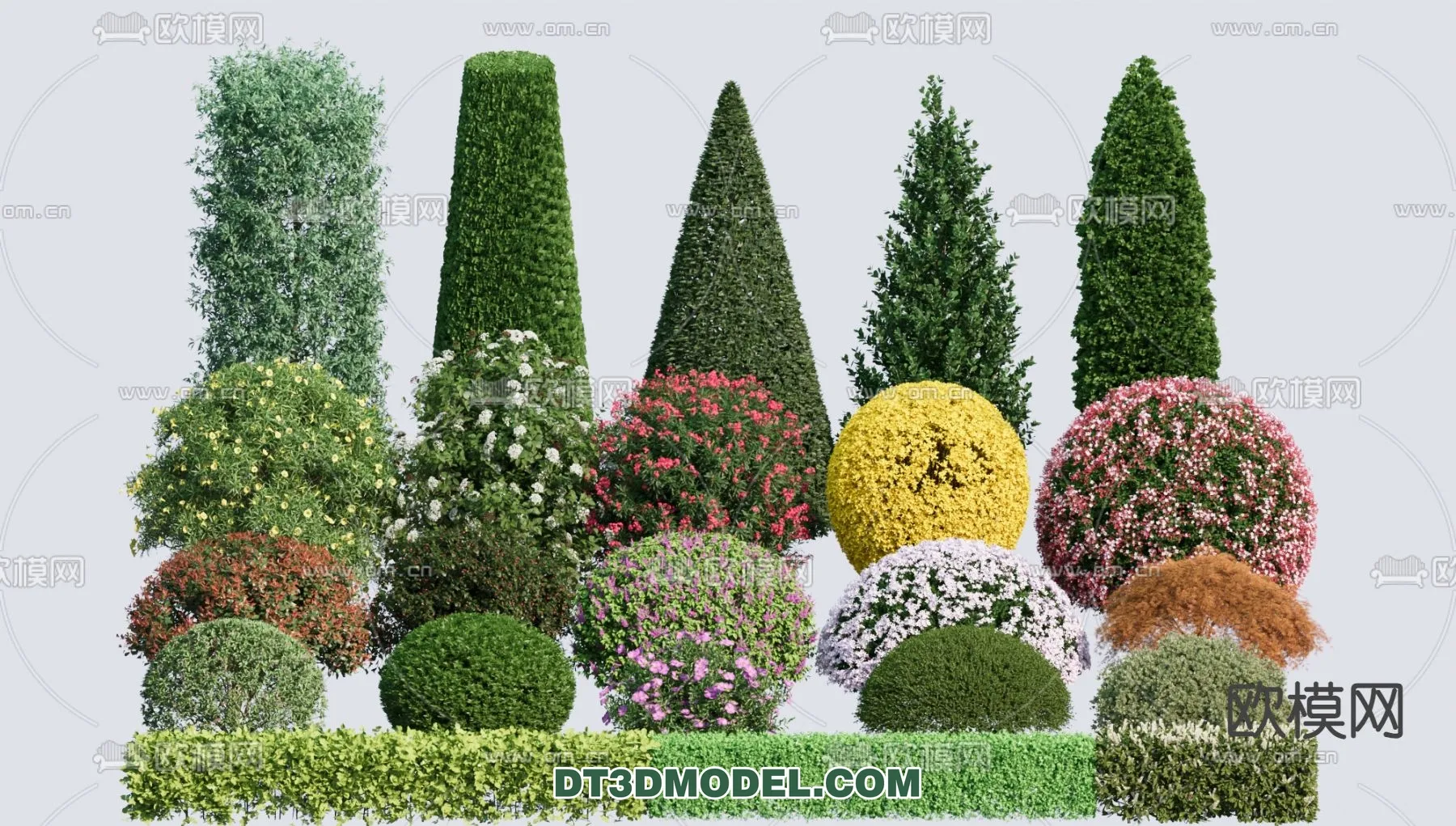 PLANTS - BUSH - CORONA - 3D MODEL - 394