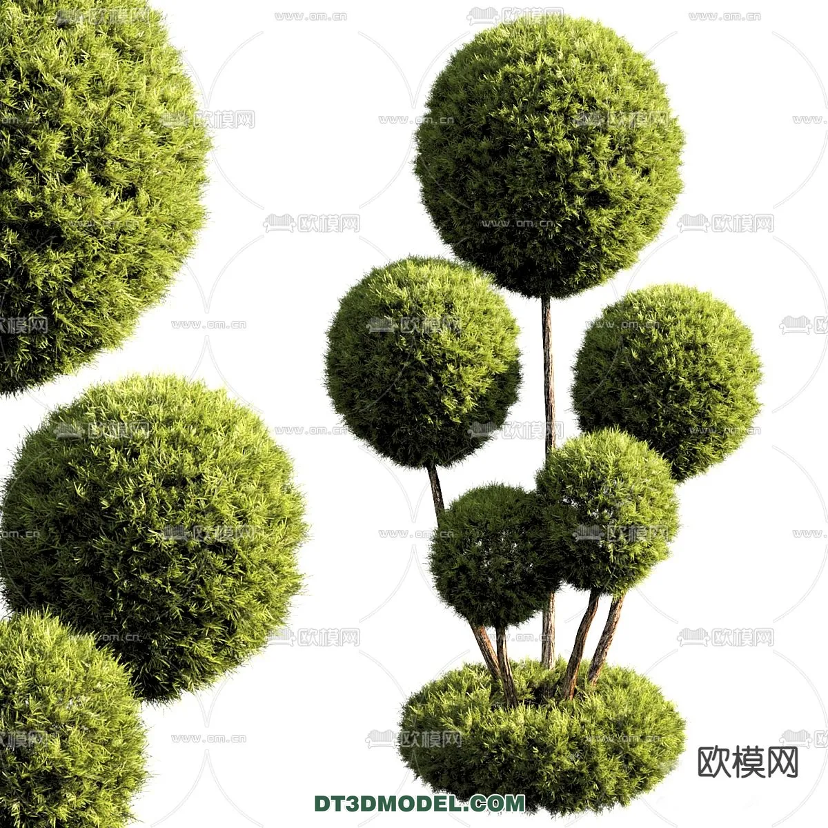 PLANTS - BUSH - CORONA - 3D MODEL - 395