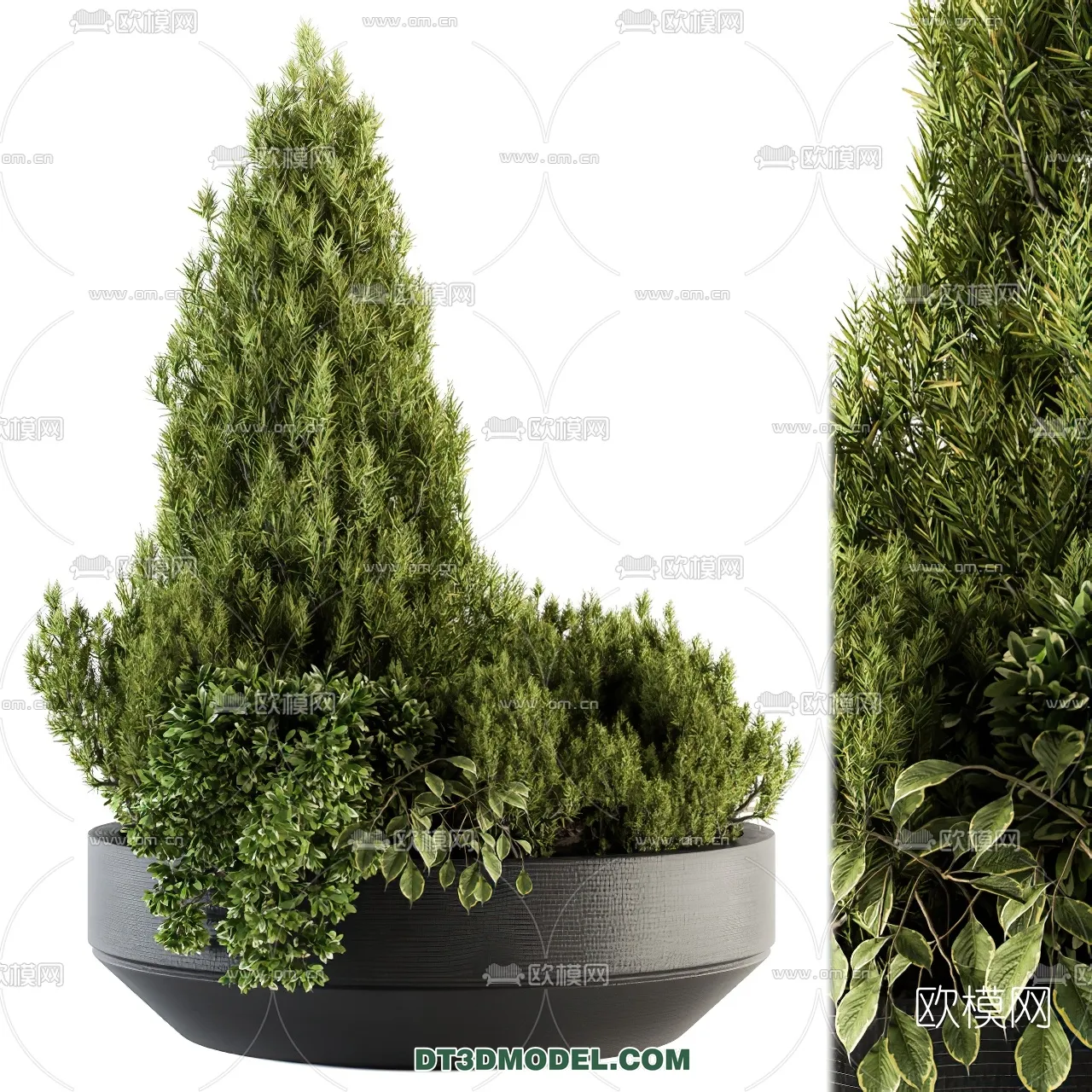 PLANTS - BUSH - VRAY / CORONA - 3D MODEL - 251