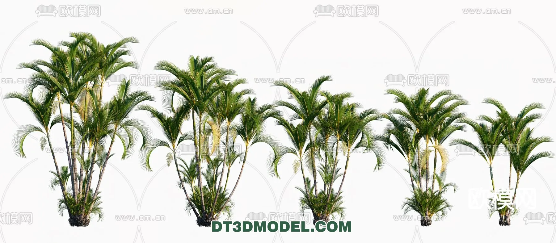 3D MODELS FREE DOWNLOAD 